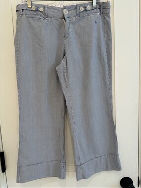 G1 BASIC GOODS/ANTHROPOLOGIE! Blue Stripe Cropped Chino Pants. FUN! SUMMER!